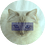 Chunkrecords
